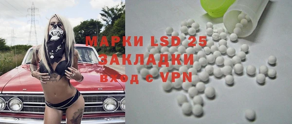прущие грибы Ростов
