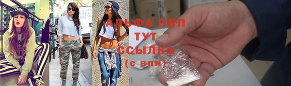 стаф Белокуриха