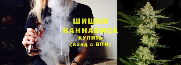 стаф Белокуриха