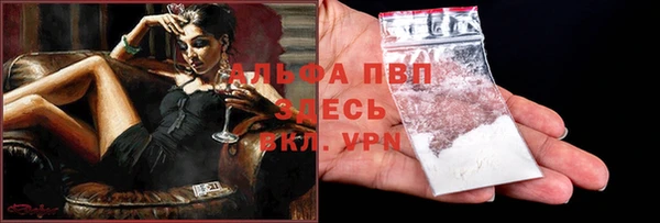 прущие грибы Ростов