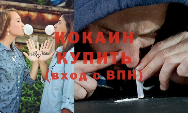 прущие грибы Ростов