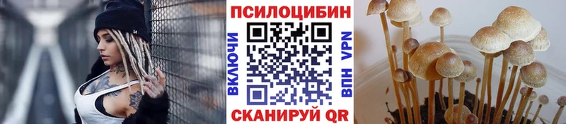дарнет шоп darknet клад Галлюциногенные грибы Cubensis Ярцево