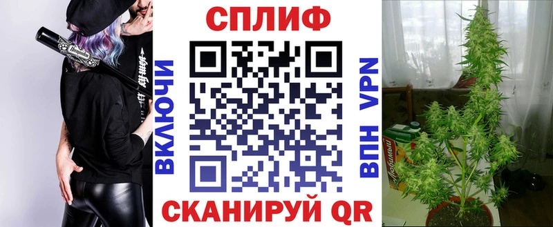 KRAKEN ССЫЛКА  Ярцево  Каннабис ГИДРОПОН  дарнет шоп 